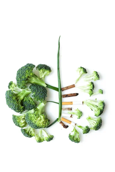 The smoker's lungs — Stock Photo, Image