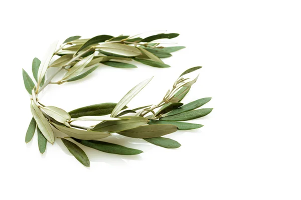 Olive tree wreath — Stock Photo, Image