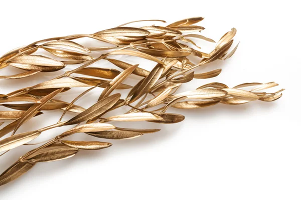 Golden branches — Stock Photo, Image