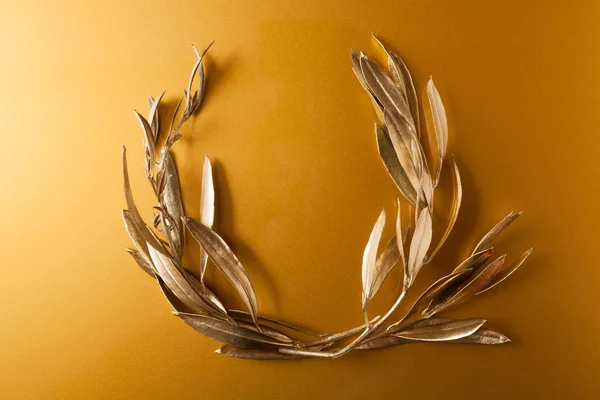 The olive wreath (kotinos) — Stock Photo, Image