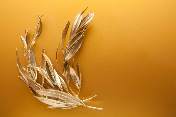 Goldene Zweige — Stockfoto