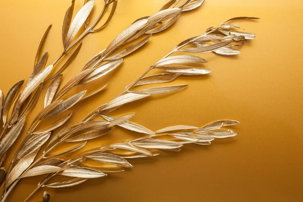 Golden branches — Stock Photo, Image