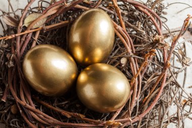 Yuvadaki altın yumurtalar