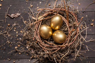 Yuvadaki altın yumurtalar