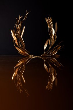 Golden zeytin çelenk