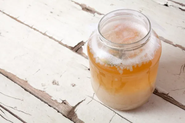 Water kefir granen — Stockfoto