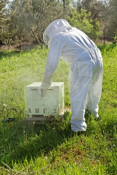 Apicoltore che lavora nel suo apiario — Foto Stock