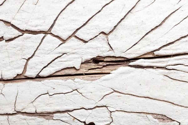 White wood texture with natural patterns — Stock Photo, Image
