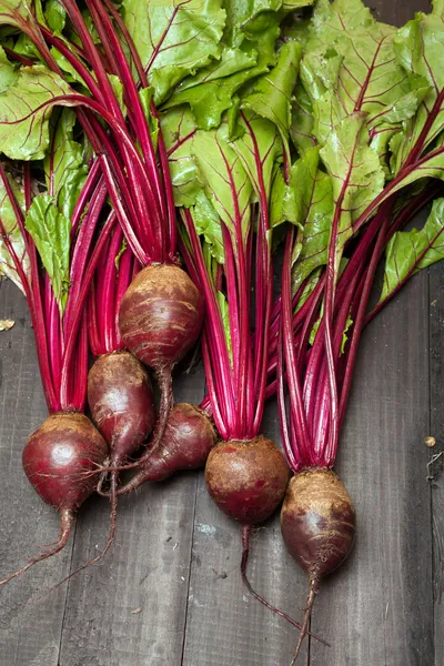 Beetroots — Stockfoto