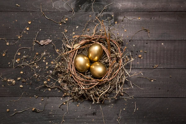 Golden eggs in nest — Stock Photo, Image