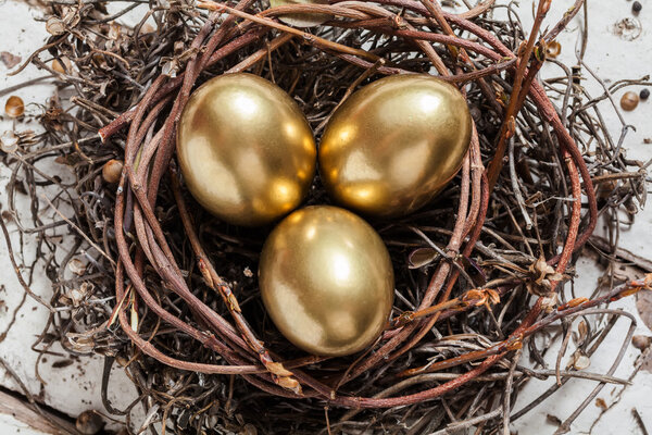 Golden eggs in nest