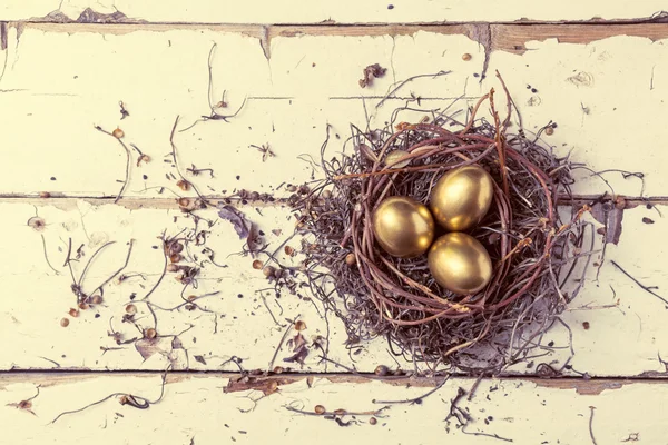 Golden eggs in nest — Stock Photo, Image