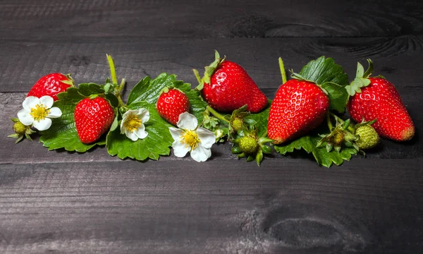 Aardbeien — Stockfoto