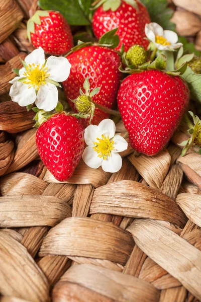 Aardbeien — Stockfoto