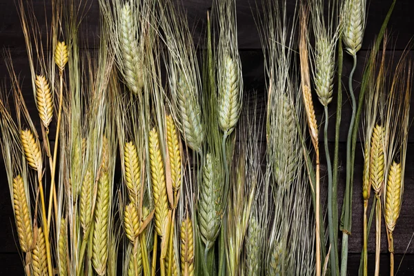 Wheat on wooden table — Stock Photo, Image