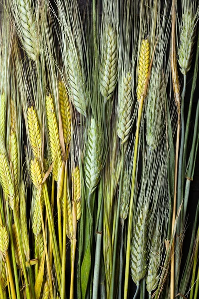 Buğday ahşap tablo — Stok fotoğraf