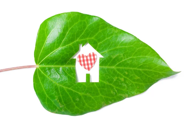 Eco house concept — Stock Photo, Image