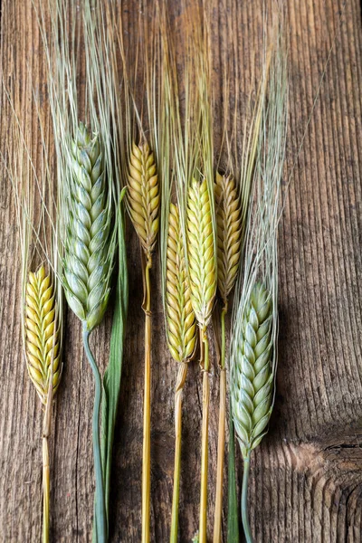 Пшеница на деревянном столе — стоковое фото