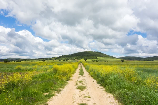 Grekisk landskap — Stockfoto