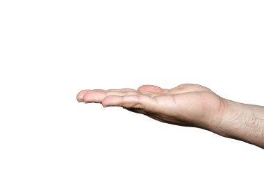Beyaz arkaplanda insan el işareti izole edildi 