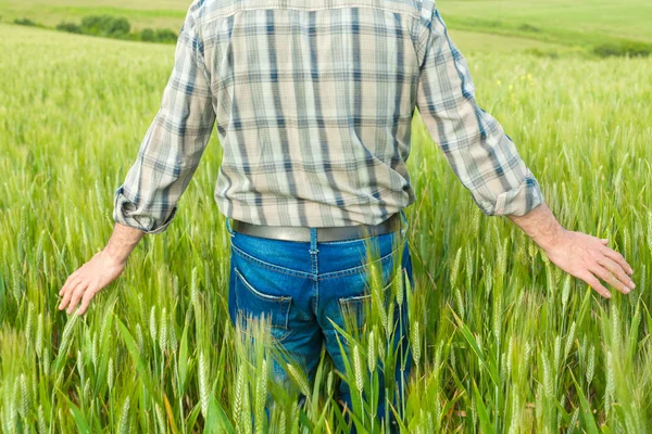 Agricultor no terreno — Fotografia de Stock