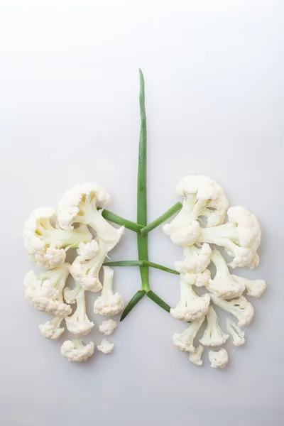 Healthy Lungs — Stock Photo, Image