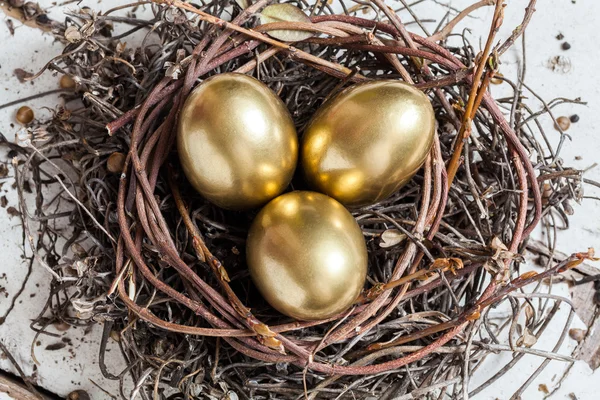 巣の中の黄金の卵 — ストック写真