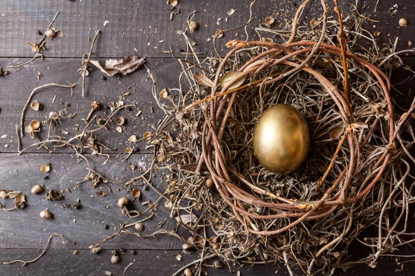 巣の中で黄金の卵 — ストック写真