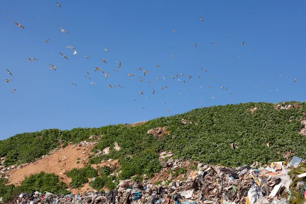 Pile of domestic garbage in landfill — Stock Photo, Image