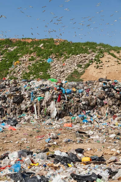 Haufen Hausmüll auf Mülldeponie — Stockfoto