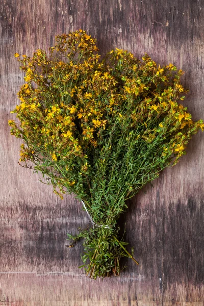 Hypericum perforatum — Stock Photo, Image