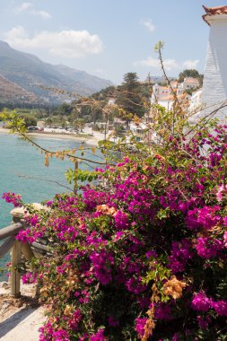 Andros Adası - Yunanistan