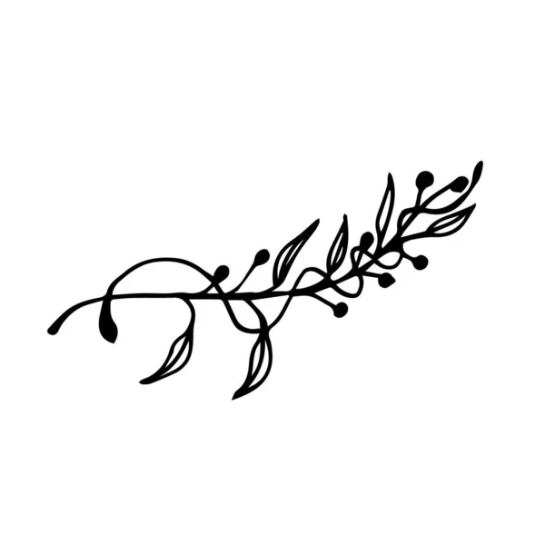 Ein Zweig Mit Beeren Doodle Stil Kann Für Logos Von — Stockvektor