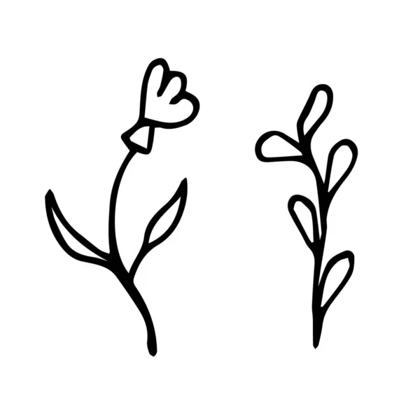Λουλούδι Και Γρασίδι Στυλ Doodle Λευκό Φόντο Είναι Απομονωμένα Φυτά — Διανυσματικό Αρχείο