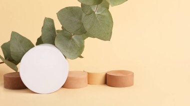 Okaliptüs dalından, geometrik podyumlardan ve yanındaki yuvarlak kozmetik kutusundan kompozisyon. Pastel renkler, büyük afişler..