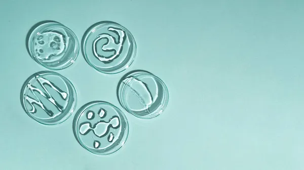 Top view of the petri dishes with smears of cosmetic gel on it.Blue background,cosmetics banner. — Stock Photo, Image