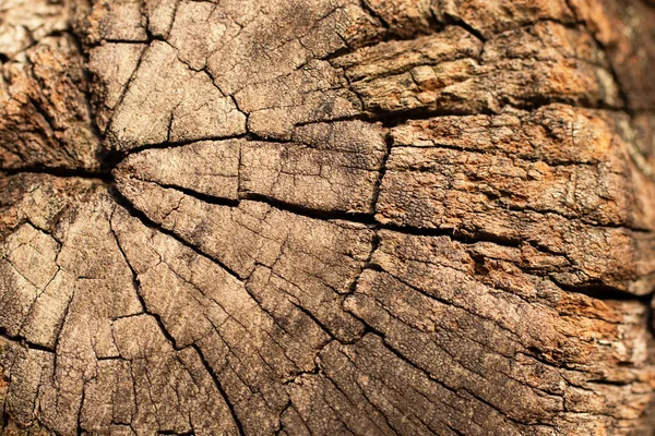 Фотография Крупным Планом Старой Текстуры Дерева — стоковое фото