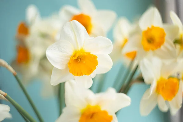 Closeup Photography Bouquet Yellow Daffodils Selective Focus — ストック写真