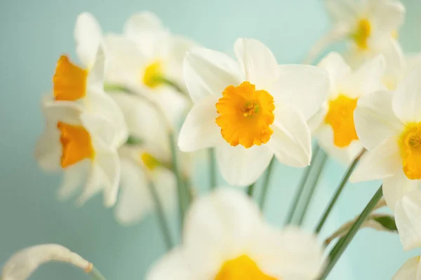 Closeup Photography Bouquet Yellow Daffodils Selective Focus — ストック写真