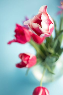 Lale buketinin dikey fotoğrafçılığını kapat. Metin için alanı kopyala.