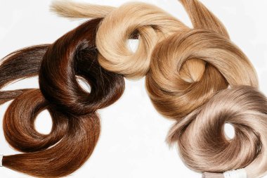 Curved hair samples for extension rolled up,different colors.White background.