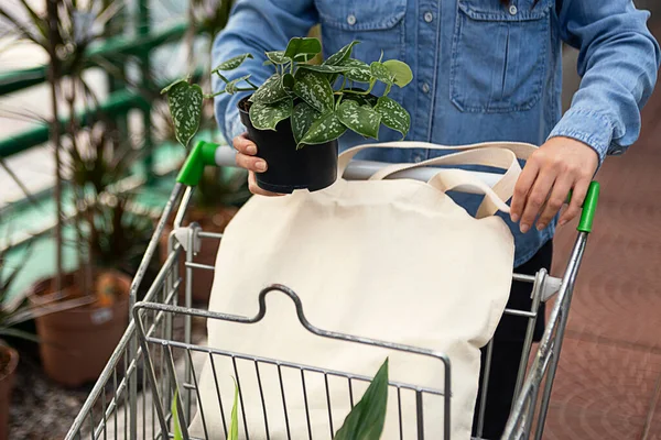 Anonymous woman choose new plant and placing it in shopping cart,blank eco friendly bag in it.