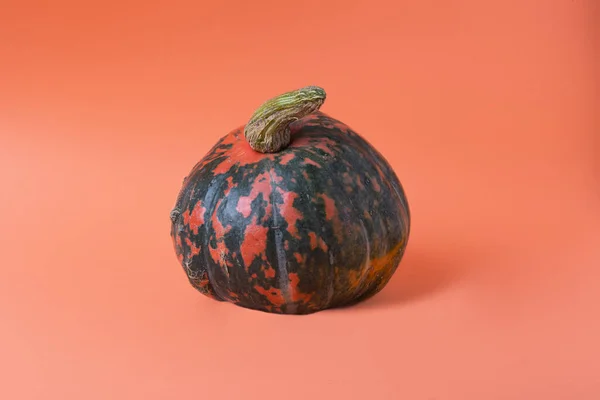 Orange and green pumpkin,negative space for text.