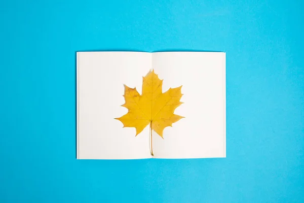 Top view of blank paper book with dry autumn maple leaf on the page.