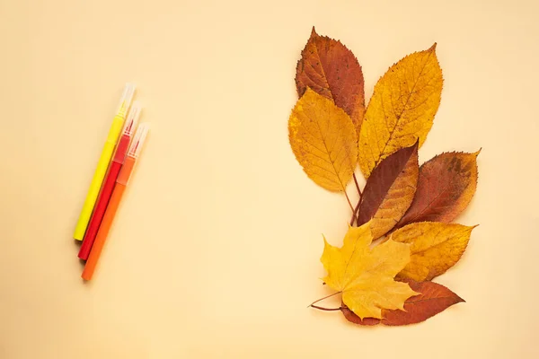 Autumn border with dry leafs from herbarium,pastel colors.