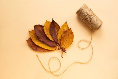 Kuru yaprak ve jüt ipliği ile pastel renklerde sonbahar arkaplanı.