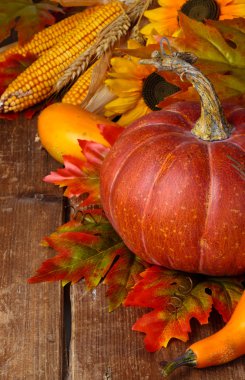 sonbahar düzenleme.