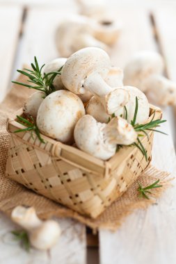 Petrol ve biberiye yaprağı