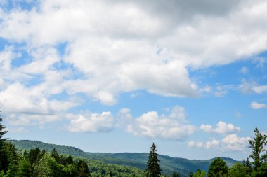Birçok büyük yeşil ağaç ve köknar ağaçları ile manzara dağlarda bir orman, güneşli bir yaz günü, güzel bir açık hava tek renkli arka plan