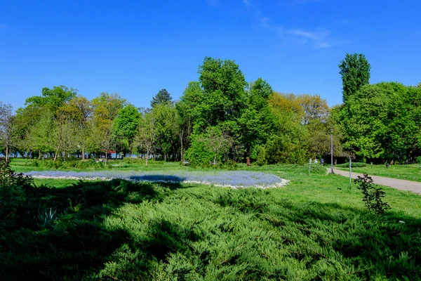 Landschap Met Groen Gras Bomen Koning Michael Park Herastrau Een — Stockfoto